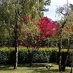 Le Betulle 아파트 *